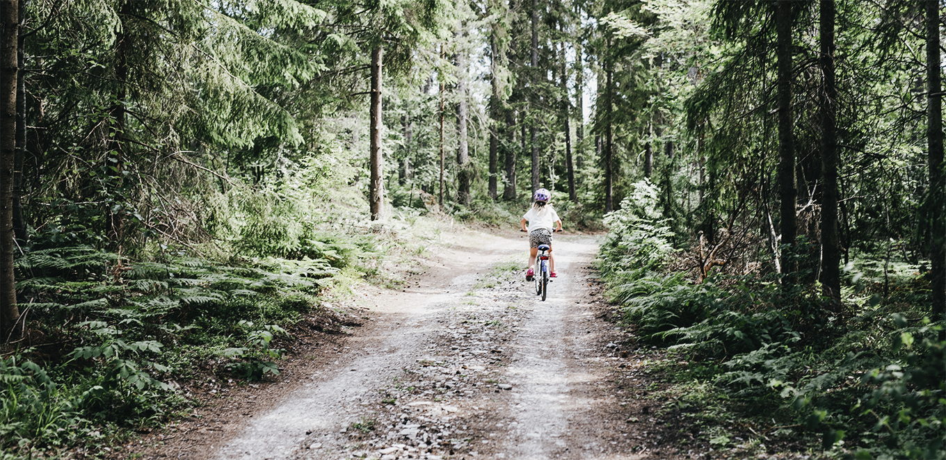 Barn cyklar på skogsväg